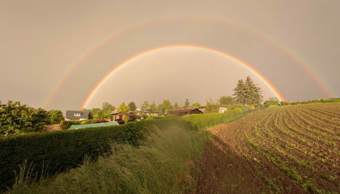 Regenbogen